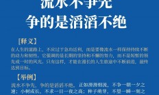 半岛体育下载-包含中流砥柱连得分，蓄势待发犹如炮弹的词条