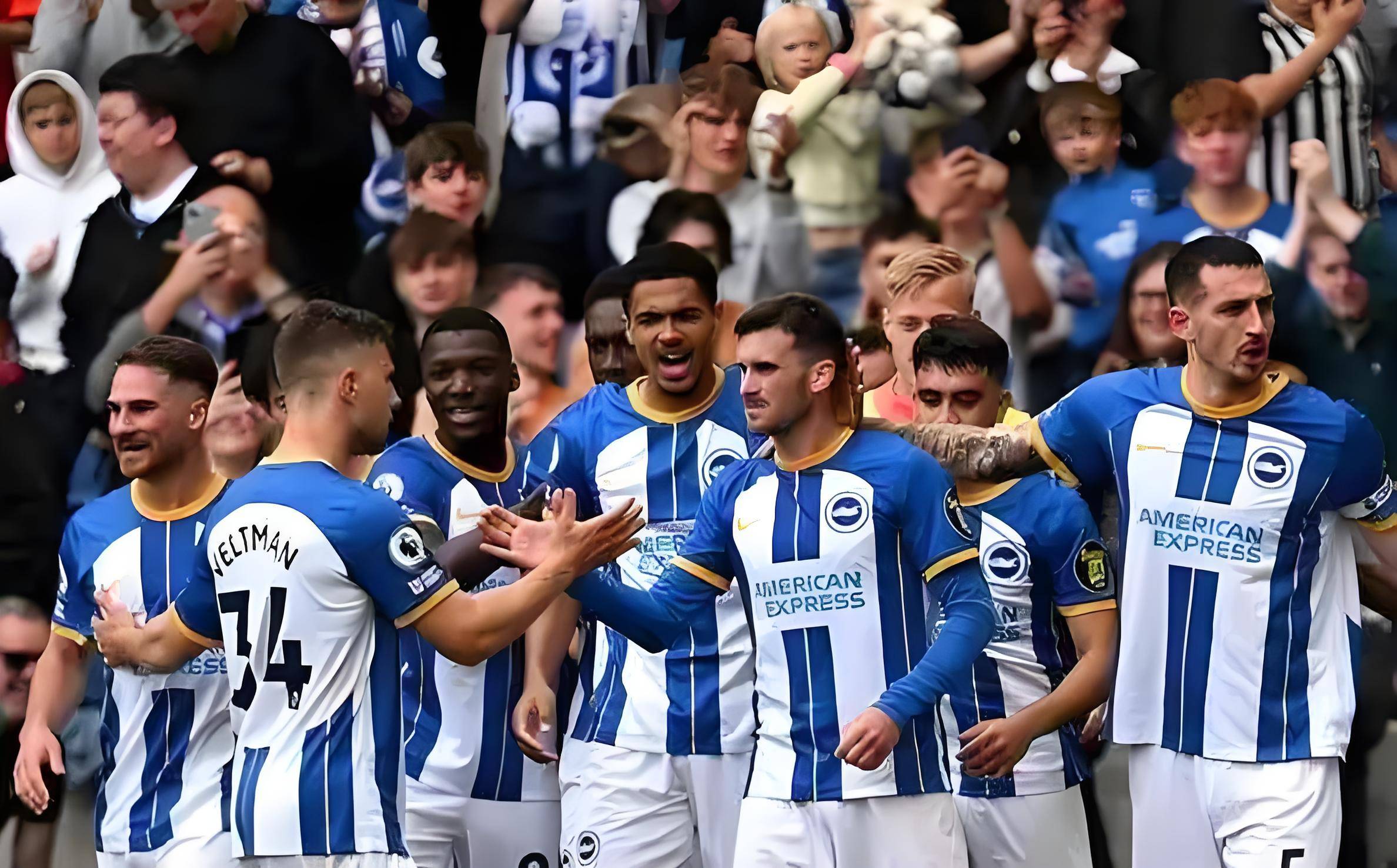 布莱顿主场击败对手，球队信心大涨